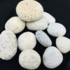 White Caribbean Beach Pebble