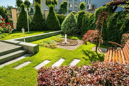 River Rocks - Rocks Around Trees