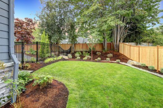 Beach Pebbles - Back Yard