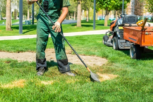 Beach Pebbles - Removing Grass