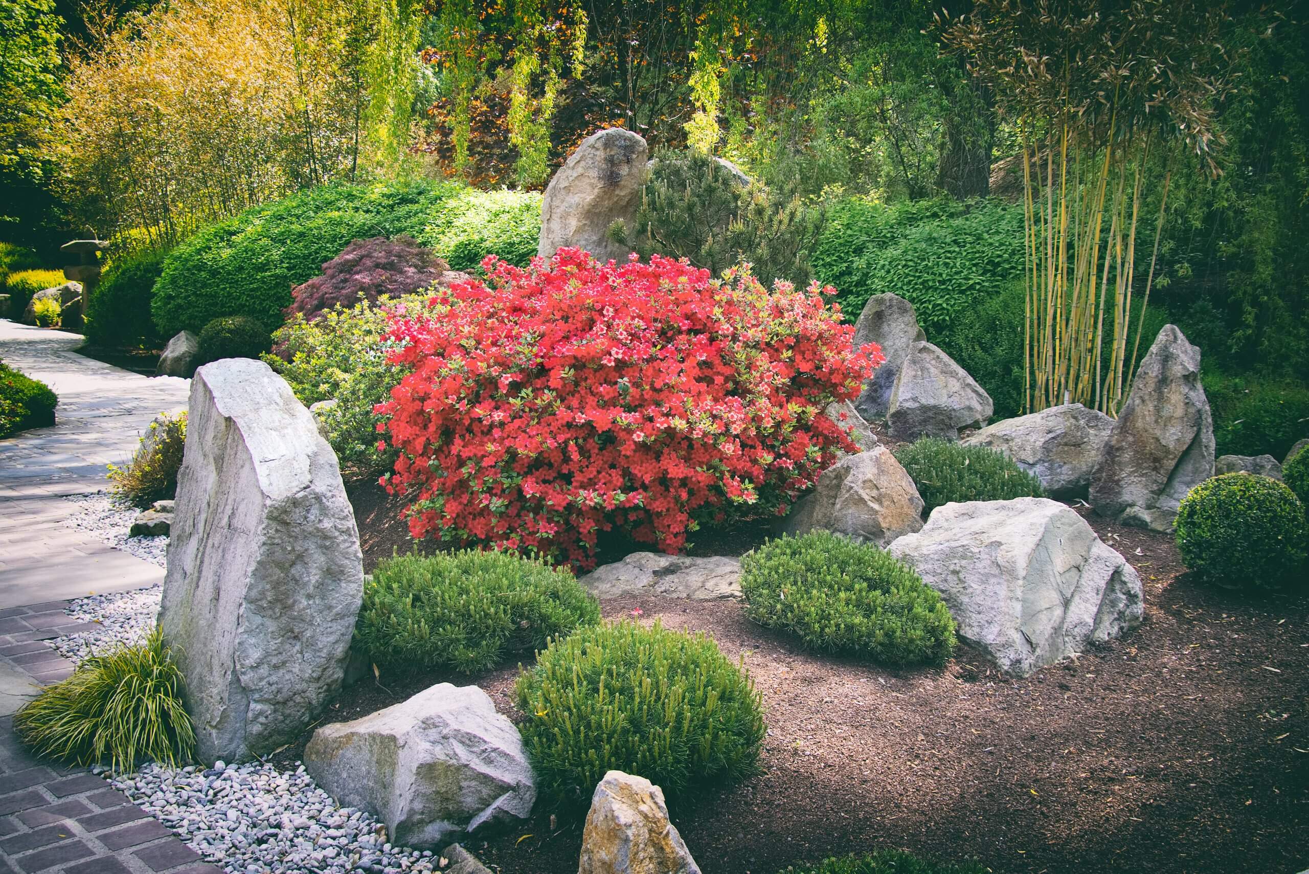 River Rocks - Japanese Rock Garden