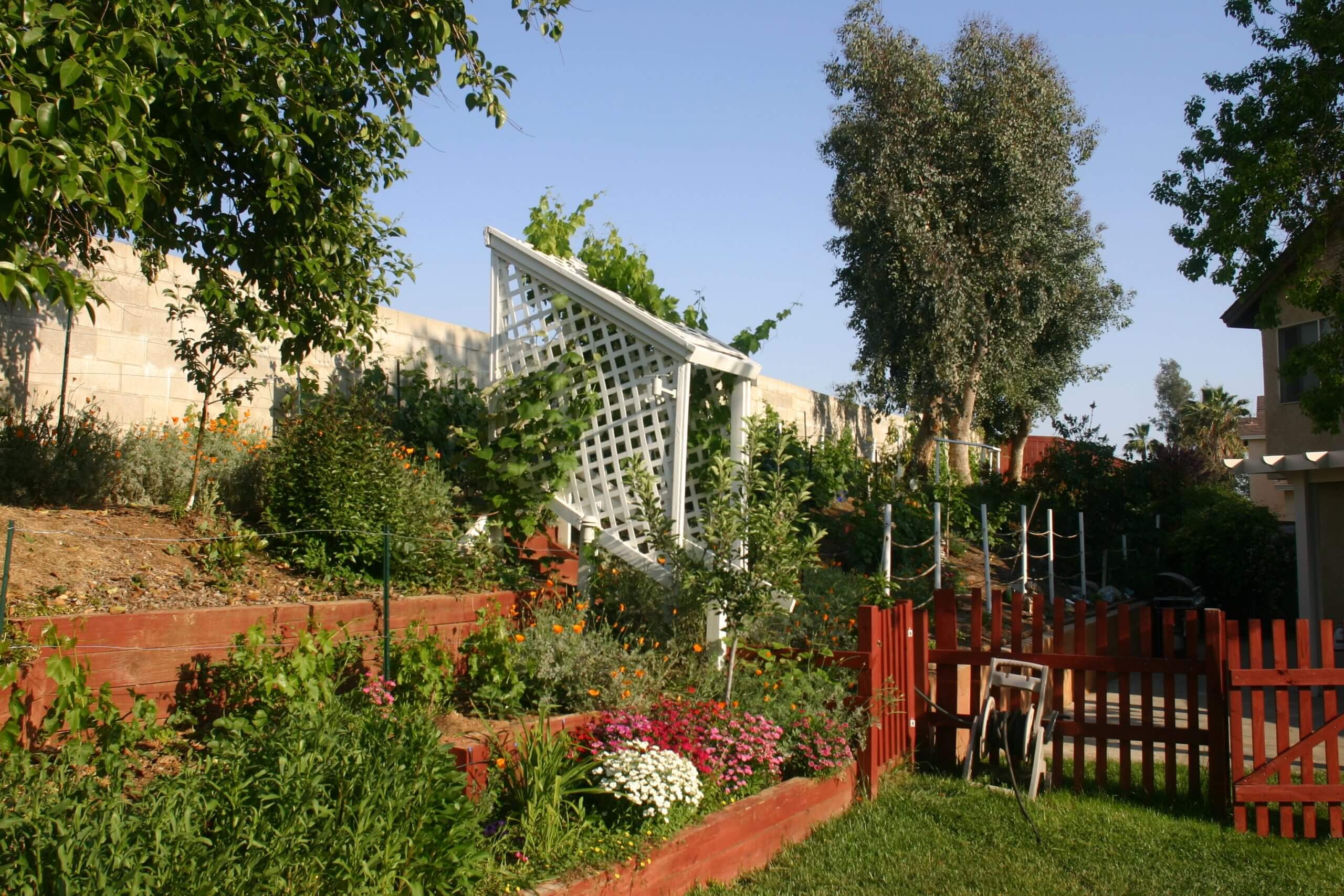 Mexican Beach Pebbles - Sloped Backyard