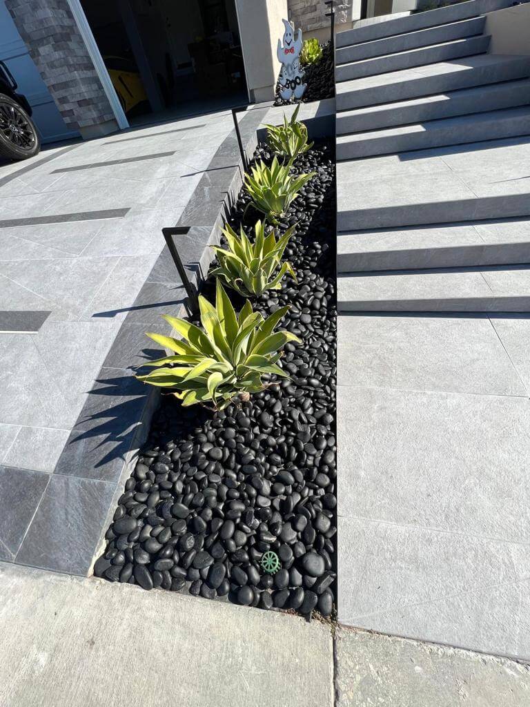 6d8db5d5-1f58-4ccc-9693-11f5045e2f8f