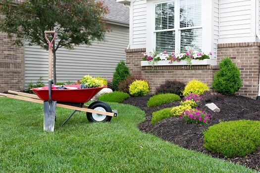 Basics of Landscaping - Blak Mexican Beach Pebbles