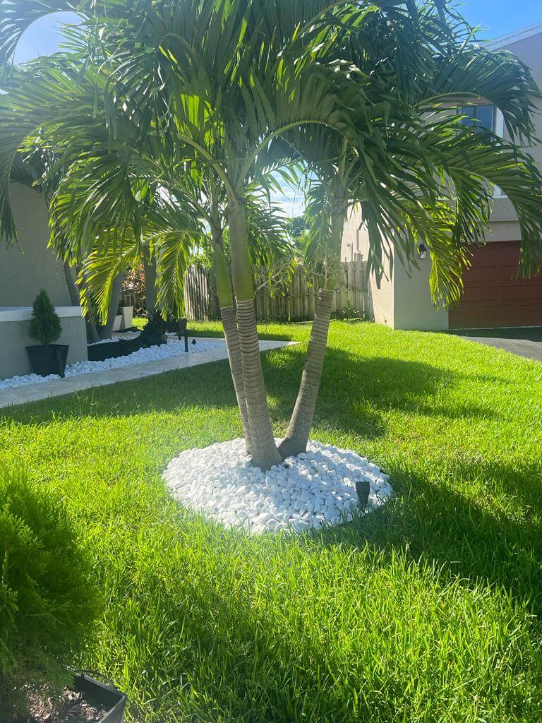 ac124dfb-015a-49fc-98af-c4618805a2cc