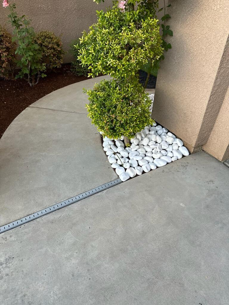 WhatsApp Image 2023-09-27 at 11.39.15 AM (1)