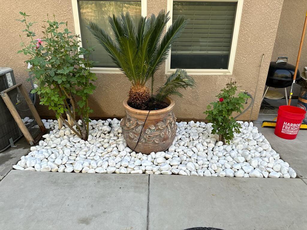 WhatsApp Image 2023-09-27 at 11.39.15 AM (2)