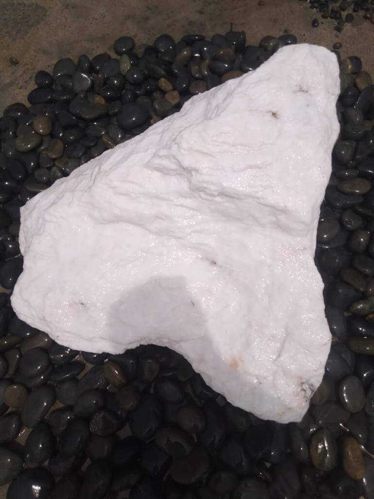 e6a30ab5-2d94-45e5-8db0-395bd399e73d