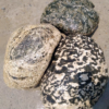 Multi Color Granite Boulders